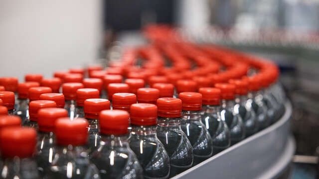 Visit of a bottling plant