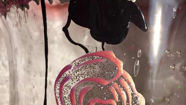 L'Atelier la Vénus d'Arles