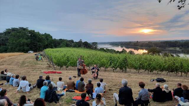 Musique dans les vignes