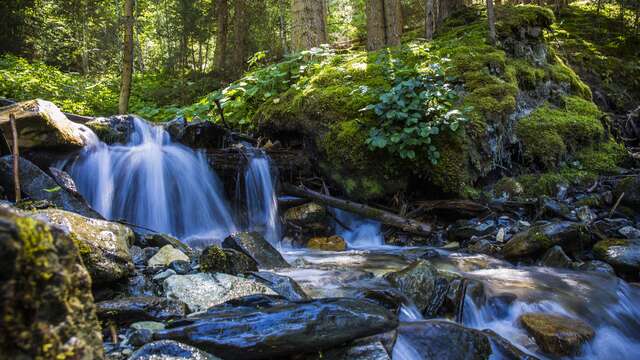Sentier du vieux bisse