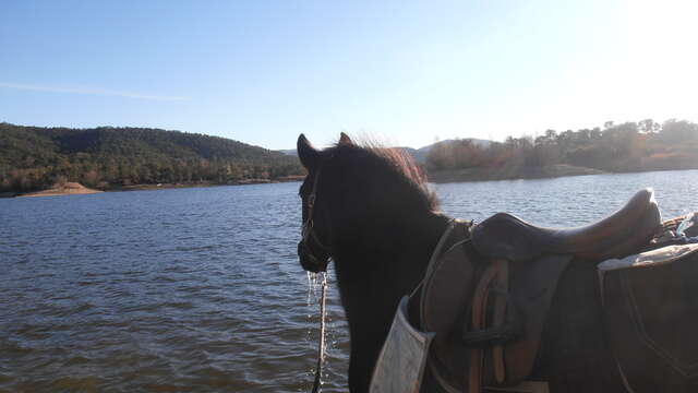 Haras des Villards: Balade "Réserve biologique" - Lac de Saint-Cassien