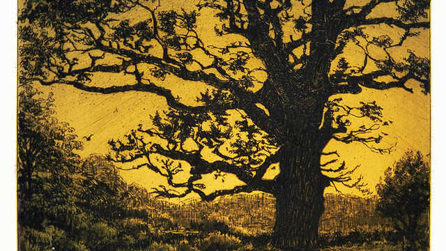 Atelier en famille - Nature éphémère