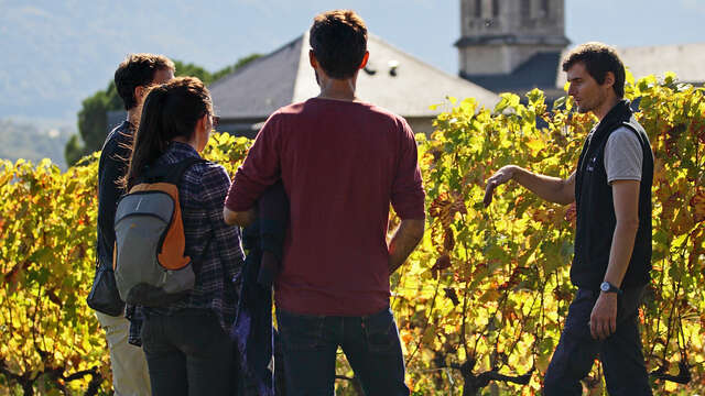 Apéro'vignes au Domaine de l'Idylle