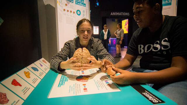Expo : Intelligences. Différentes par nature
