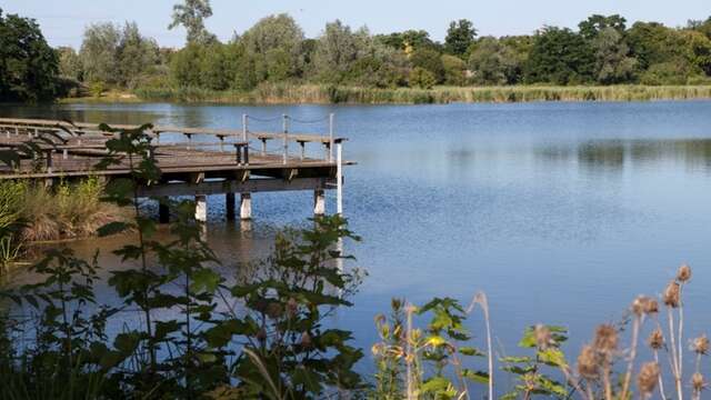 Parc départemental de la Boucle de Montesson