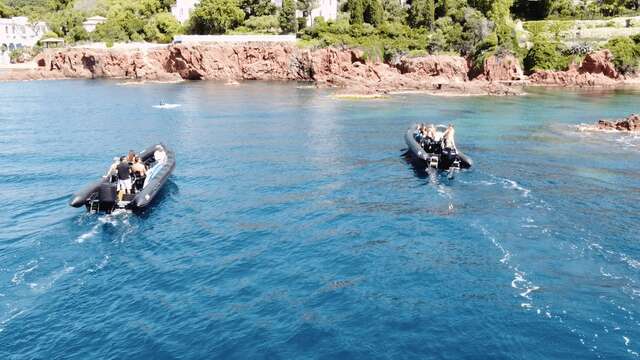 Black Tenders - excursions nautiques et