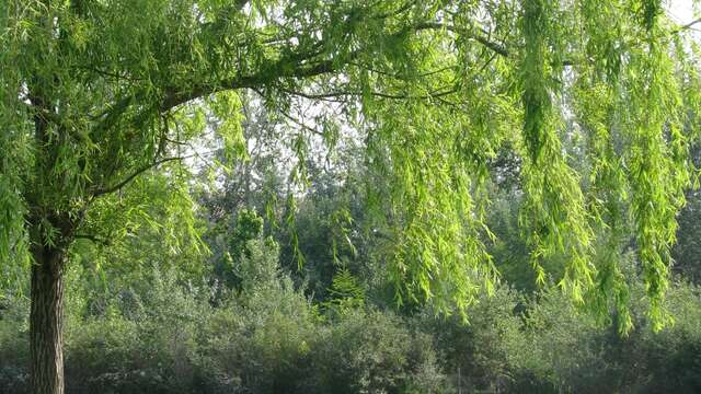 Le Jardin de Gaston