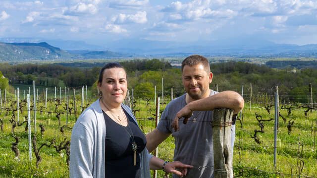 Vivre une expérience autour du vin au Domaine Trichon