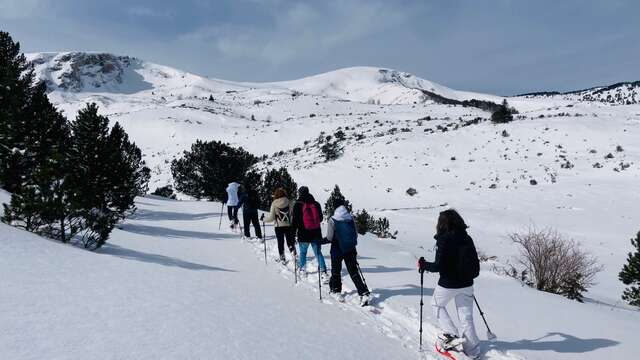 1/2 day snowshoeing with Pyrénées Excursions