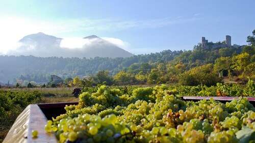 Domaine la Mercadine