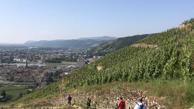 Randovignes avec Terres de Syrah by Cave de Tain