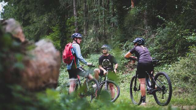 N°55 – Le Puy Snidre - Espace VTT-FFC Massif des Bois Noirs