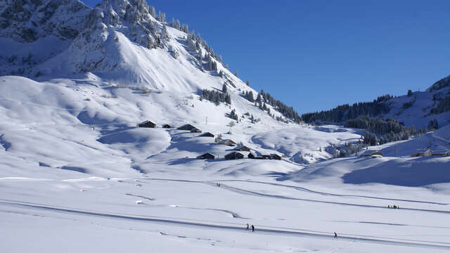 Trail blanc - Plateau de Sommand