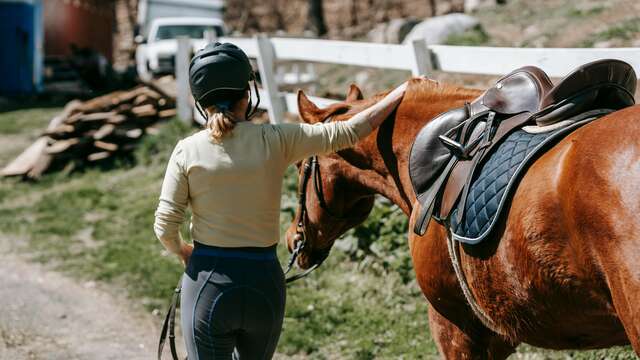 Cours d'équitation aux Murettes