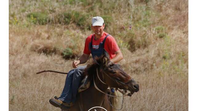 Les Éphémères : Lemnos, l'île aux moutons