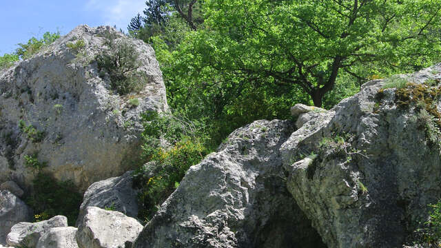 Les Gorges de Trévans