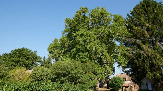 Permanence de conseils en architecture, paysage & urbanisme • La Celle