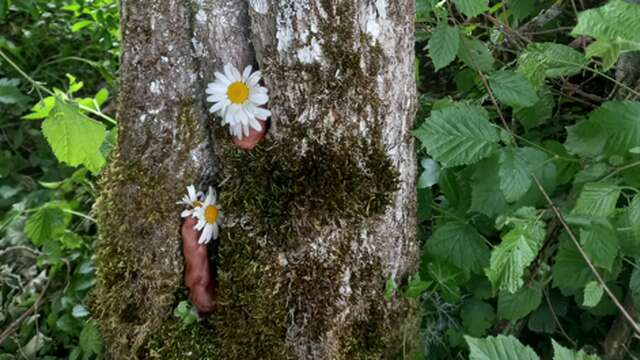 Voyage itinérant au coeur de la forêt l Renc'Arts du Parc