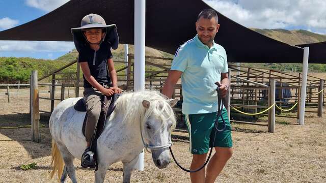 Pony rental for 3-10 year olds with Far West Ranch Deva