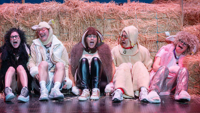 Théâtre : "Foutue Bergerie" - Pierre Guillois