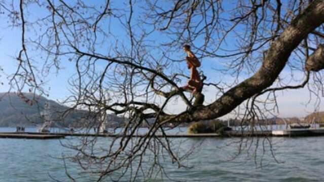 Obake ! - Festival les Folles Journées du Clown