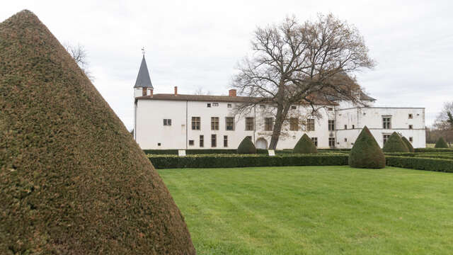 Rendez-vous aux jardins - Rencontre avec le jardinier - D'un buis à l'autre : conversation entre lames et feuillages