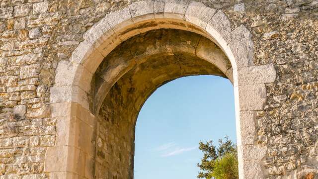 Visite commentée du vieil Allan suivie d'une dégustation