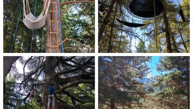 La grimpe encadrée dans les arbres