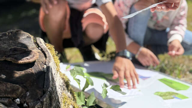 COMPLET - Les petits explorateurs du Marais des Chassettes I Rendez-vous Nature en Savoie