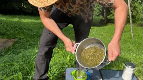 Atelier 7-11 ans Cueillette et fabrication de sirop de sapin et d'épicéa
