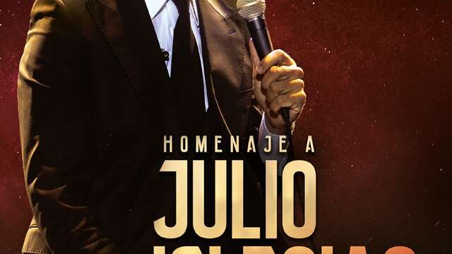 Hommage an Julio Iglesias von Diego Ramos
