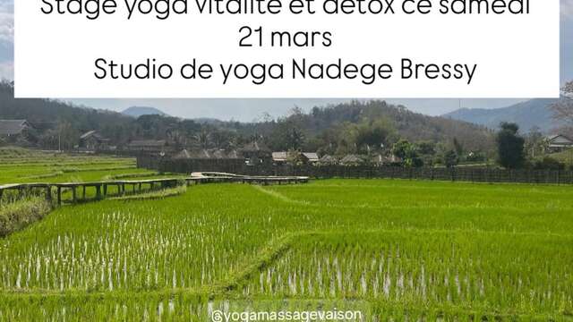 Yoga vitaliteit en detox cursus - Nadège Bressy