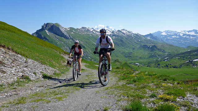 Accompanied lessons / excursions