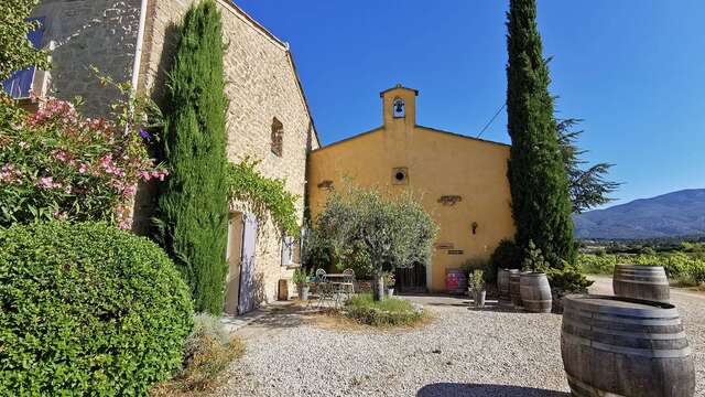 Cellar and vineyard tour - Domaine le Van