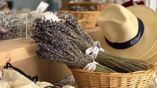 Boutique de l'Atelier des Lauves