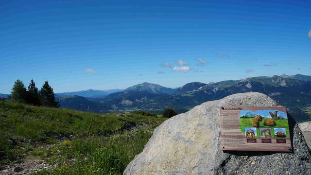 Sentier thématique du plateau de la Chau