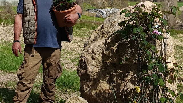 Visite de la passion - pivoines et FEUILLAGE - Chemins parfumés UNESCO
