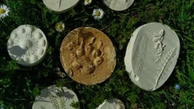 Moulages sauvages d'empreintes et de plantes (4-7ans) - Maison du Marais de Lavours