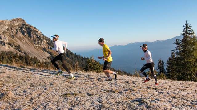 Swiss Peaks Trail