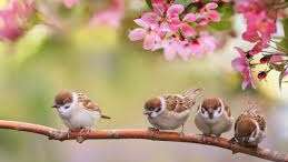 Atelier bien-être de l'été