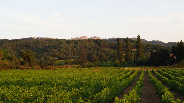 Domaine des Pasquiers