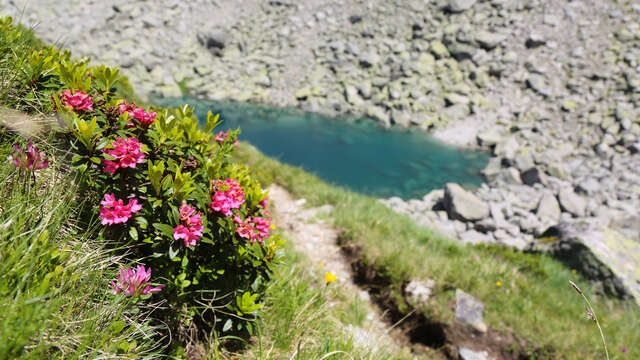 Lac Bleu