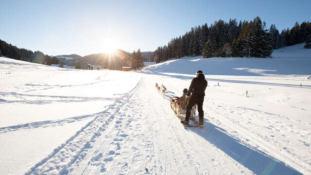 Initiation au mushing & baptême en traîneau