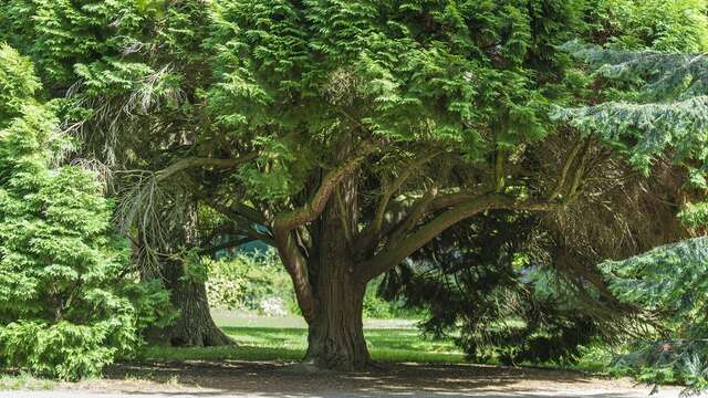 Visite guidée "A la découverte du Parc Napoléon III"