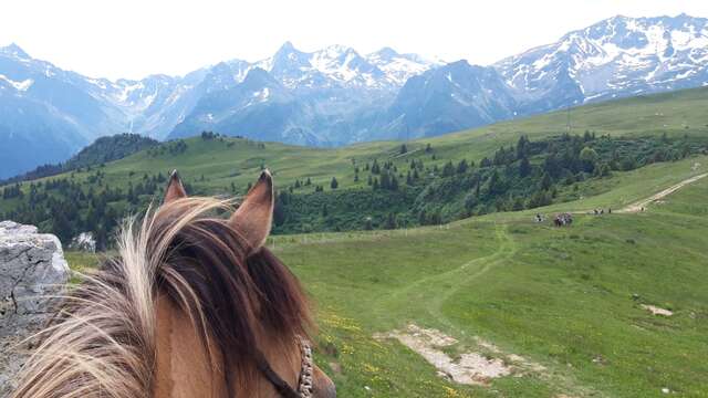 Les Chevaux des Crêts - Balade à Poney