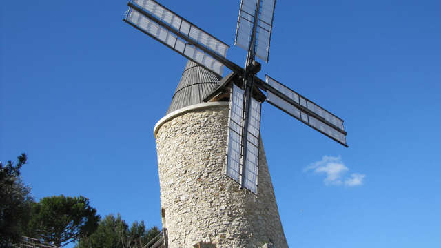 Visite guidée du Moulin Ricard