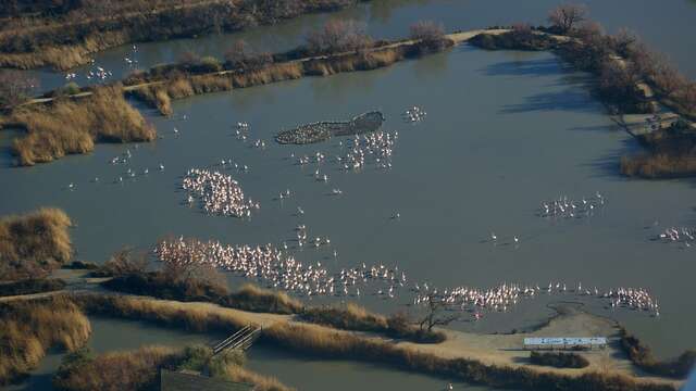 Ornithological park of Pont de Gau