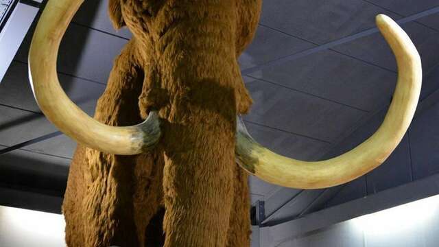 FIRA : Festival de la Randonnée en Cévennes