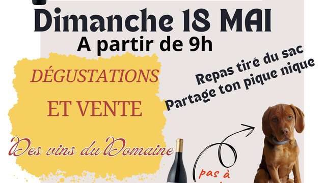 Le vide grenier du Domaine Saint Apollinaire