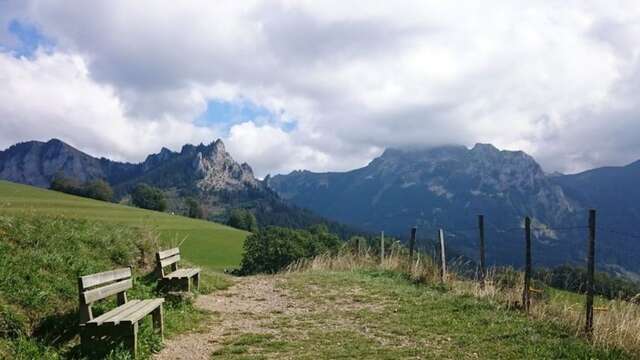 Balade Sophro régénérante sur le sentier du Mont Bénand